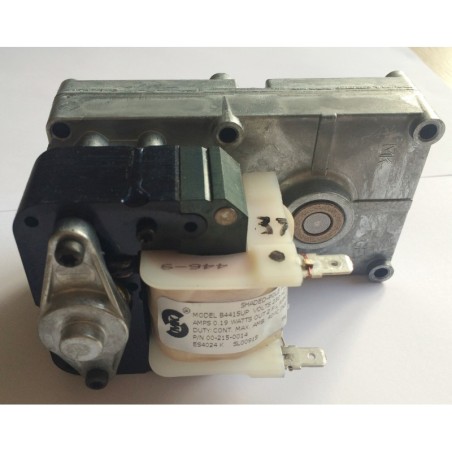 Motoréducteur PALAZZETTI 1,3 rpm