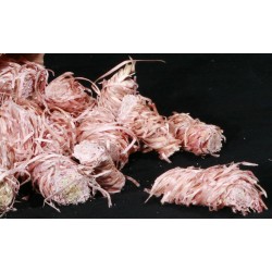 Allume-feu naturel boîte 1kg