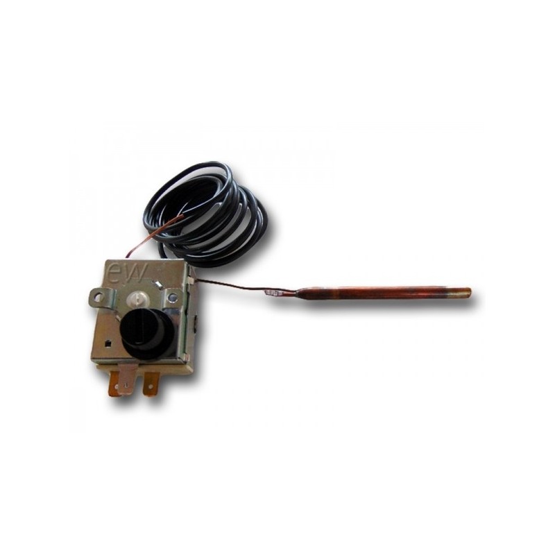 Thermostat de securité RM100°